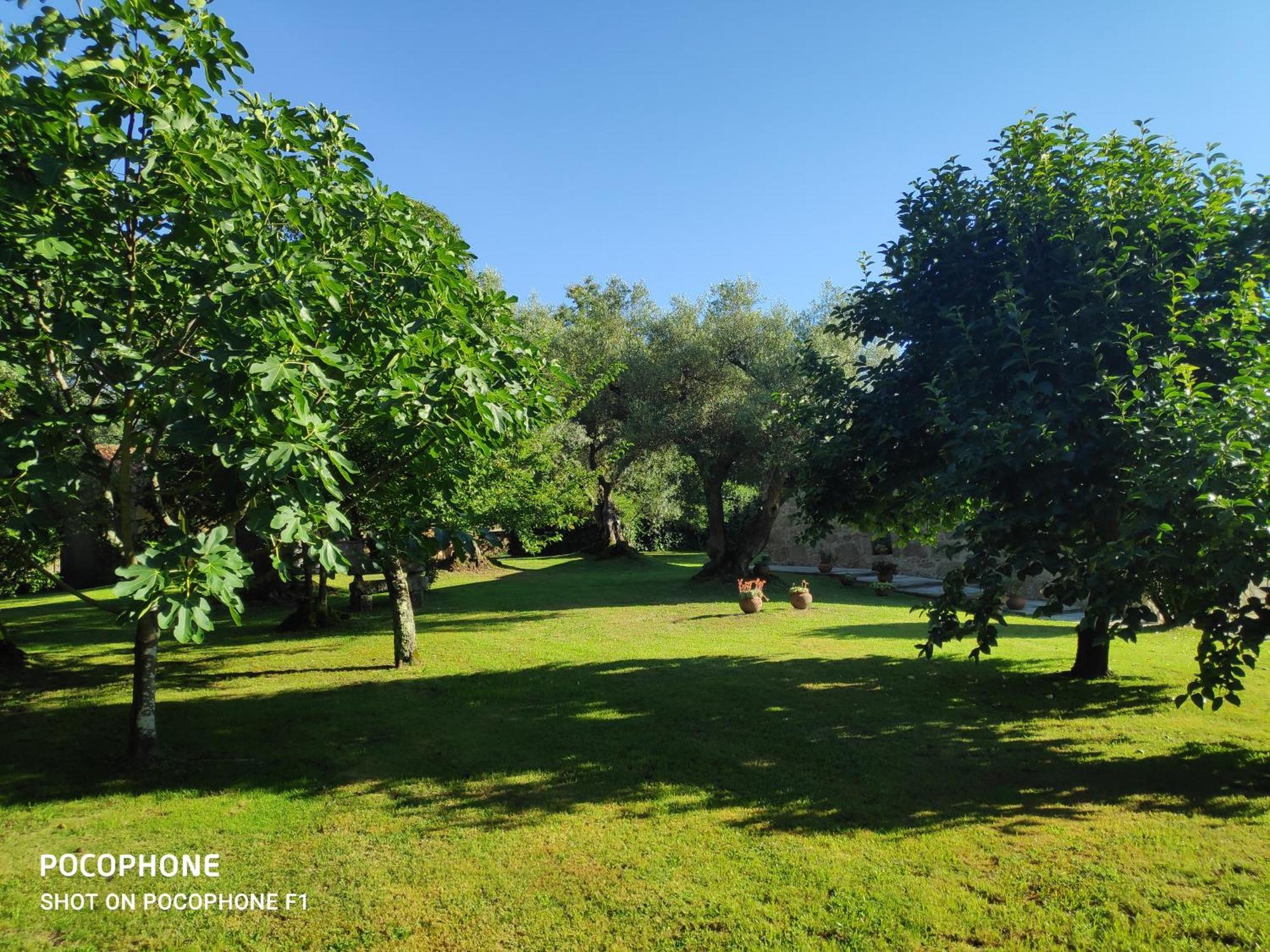 Casas Da Quinta Da Cancela Balugães Εξωτερικό φωτογραφία