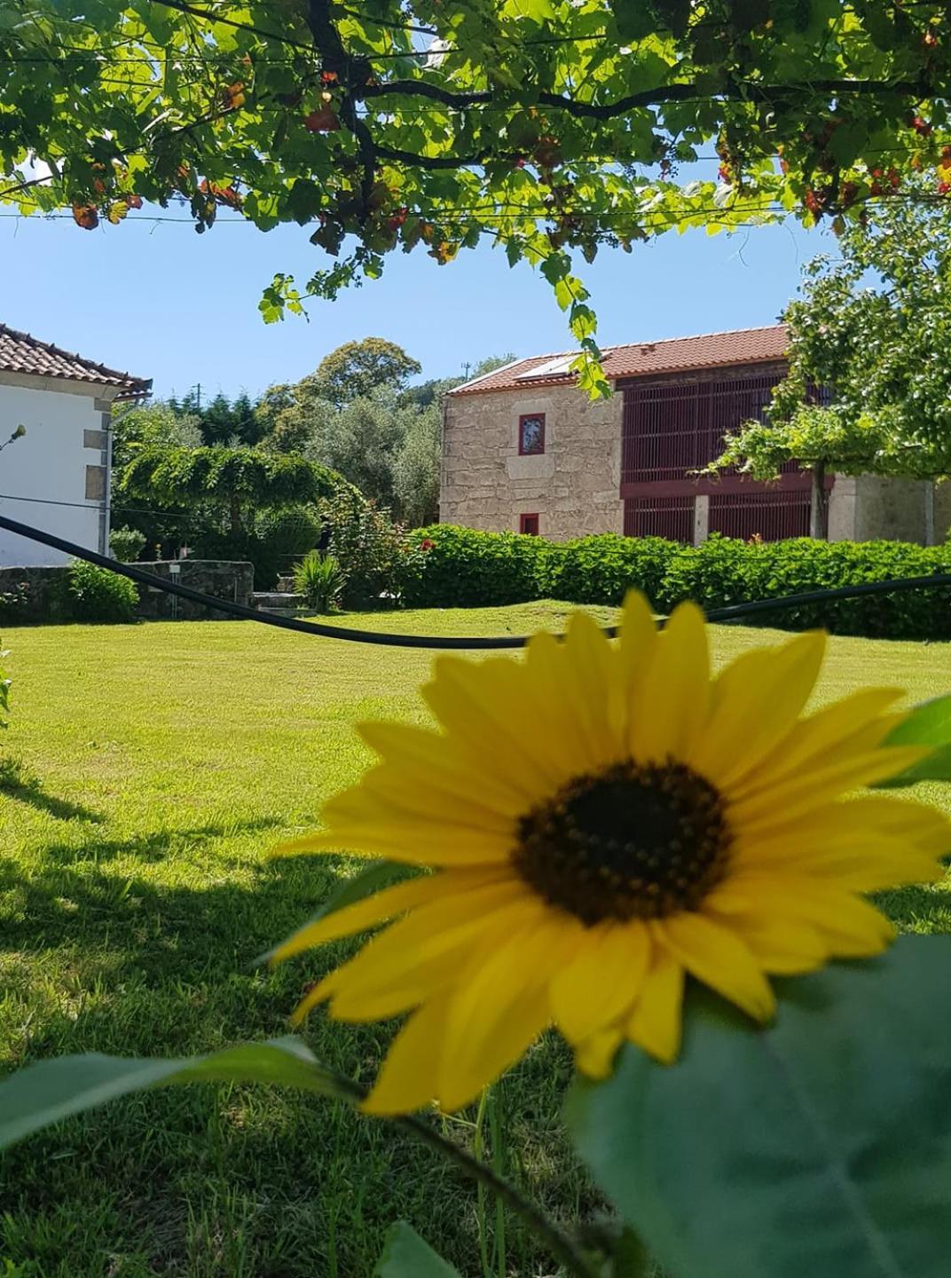 Casas Da Quinta Da Cancela Balugães Εξωτερικό φωτογραφία